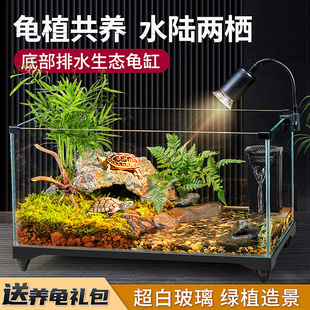乌龟缸超白玻璃造景家用小别墅饲养箱带晒台养乌龟专用缸生态鱼缸