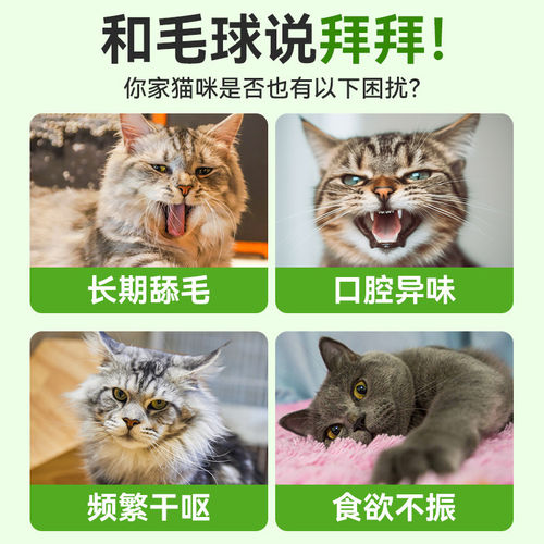 欧洲云杉排毛冻干猫狗专用温和化
