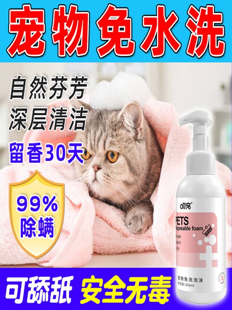 宠物免洗泡沫猫咪狗狗干洗神器幼猫狗清洁身体除螨专用免洗液