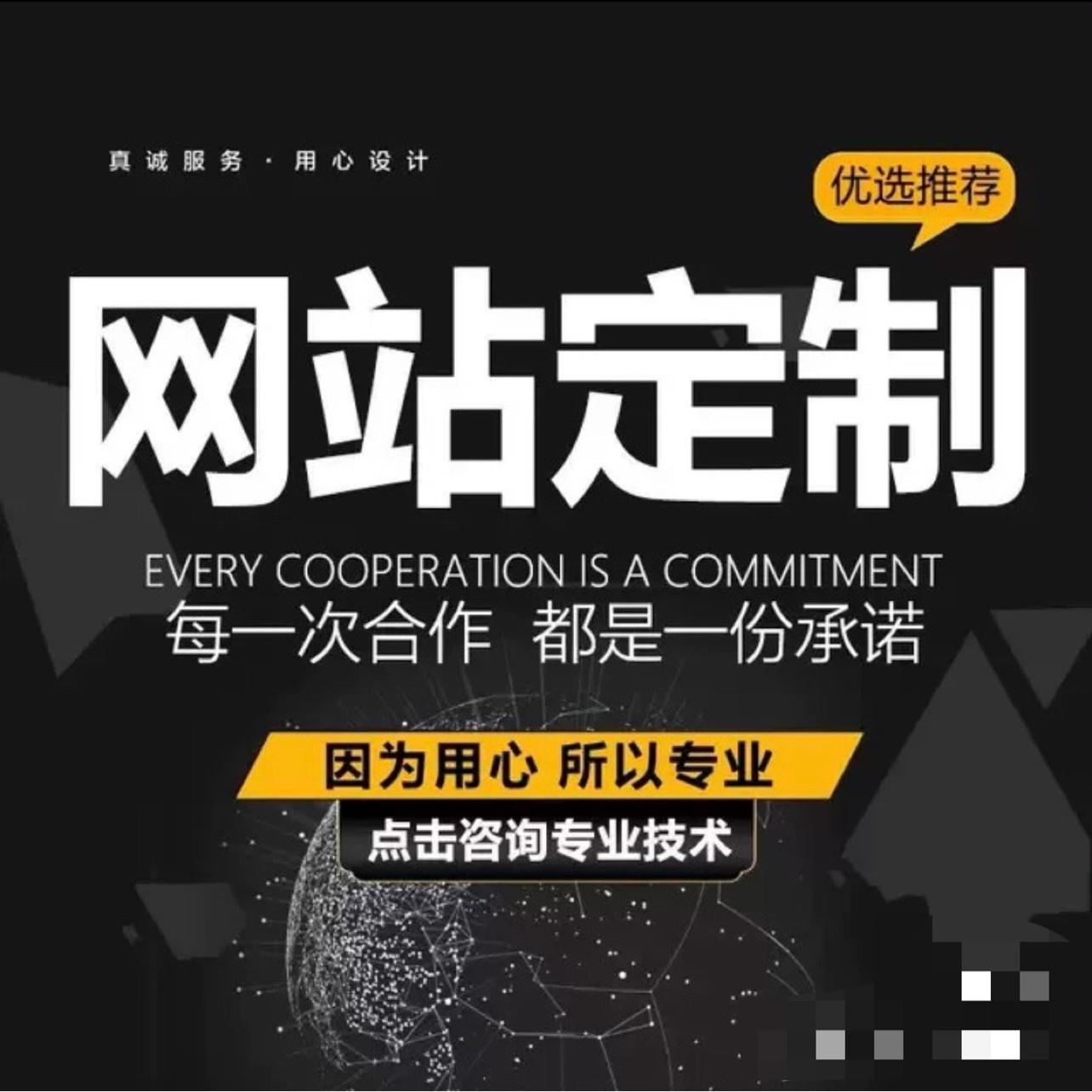 Wordpress网站设计建设主题开发插件开发外贸网站建设一条龙服务