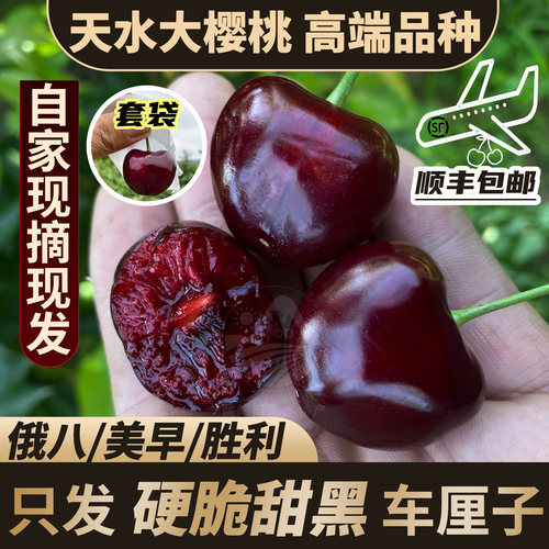 天水胜利车厘子现摘现发