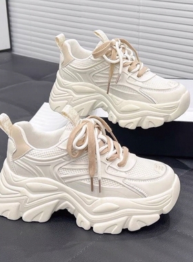小众老爹鞋女2025年春秋新款季爆款厚底增高百搭休闲运动鞋潮