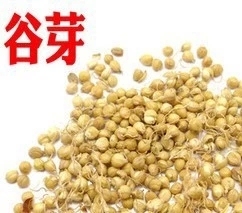 谷芽中药材 粟芽、蘖米、谷蘖 另有炒谷芽 500g克包邮