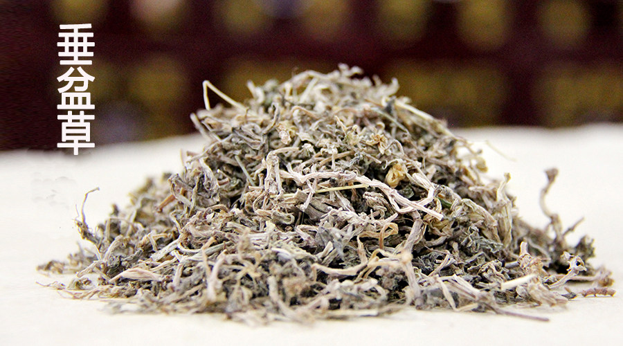 垂盆草中药材山护花鼠牙半支狗牙草佛指甲瓜子草太阳花500g克包邮
