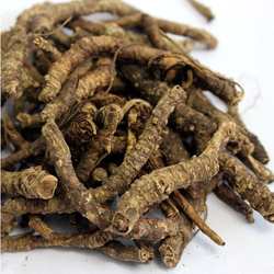 中药材胡黄莲 割孤露泽、胡连、西藏胡黄连500g克包邮