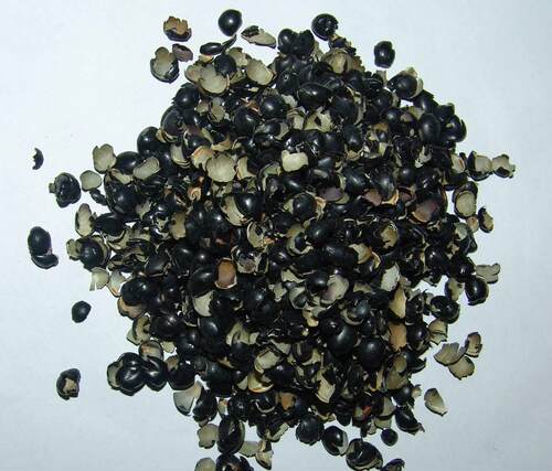 黑豆衣中药材 别名乌豆、枝仔豆、黑大豆 穞豆皮枕头 500g克包邮