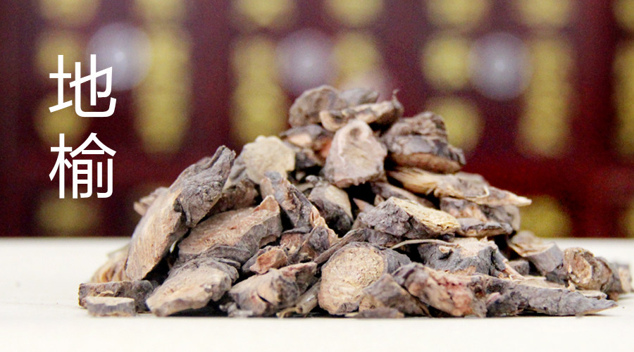 中药材地榆片 黄瓜香山地瓜猪人参血箭草 另有地榆炭500g克包邮