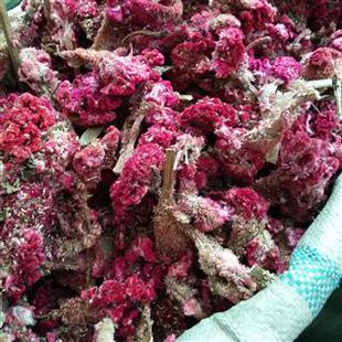 鸡冠花中药材 别名鸡髻花鸡公花鸡角枪鸡冠头鸡骨子花 500g克包邮