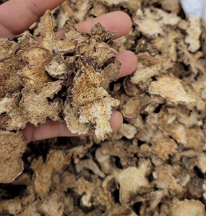 中药材苍术片内蒙苍术保证500g克包邮别名赤术马蓟青术