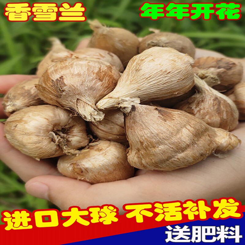 基地直销买三送二实体店铺