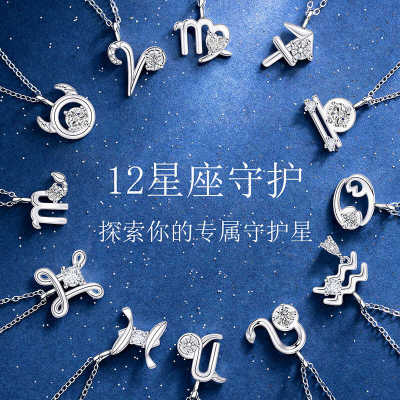 原创设计七夕礼物十二星座项链气质感百搭小众时尚轻奢可爱锁骨链