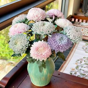 牡丹菊真花鲜花家庭插花鲜切花