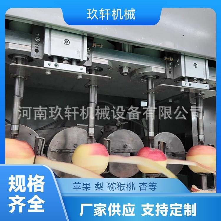 双工位苹果削皮去核切片机全自动苹果削皮去核机