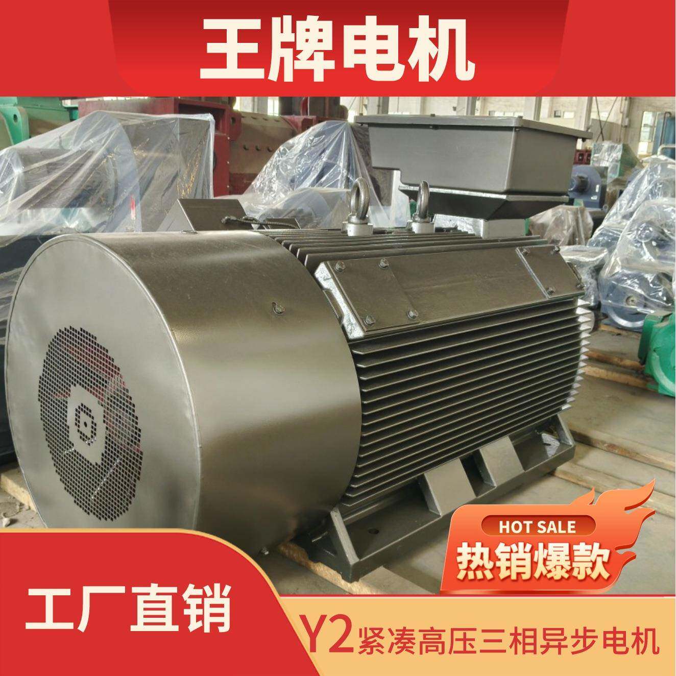 热销款厂家直销Y2全系列6000V高压紧凑型铸铁外壳三相异步电机
