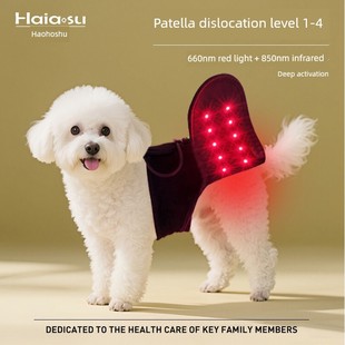 比熊红外线理疗灯老年犬宠物狗狗缓解髌骨脱位术后脊柱红光理疗灯