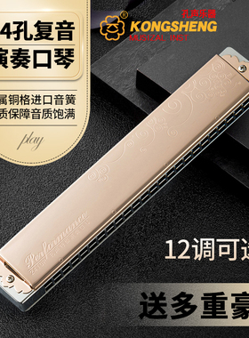 德国进口音簧孔声24复音口琴金属铜格成人初学专业演奏级ACDFG#调