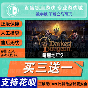 switch买三送一ns中文 暗黑地牢2 下载版  数字版 兑换码