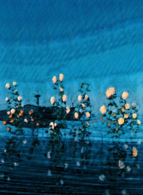 [现货当天发]可惜夜 四专 泡沫の夢は幻にAtarayoあたらよ周边t恤