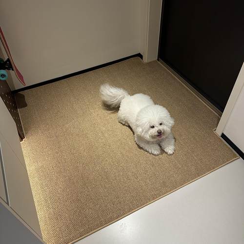 防猫抓入户地垫高级可裁剪定制