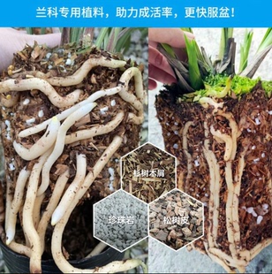 家庭养花专用土杉树木屑松树皮珍珠岩疏松沥水花卉绿植通用营养土
