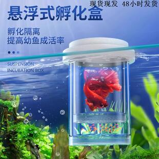鱼缸隔离盒孔雀鱼繁殖盒凤尾斑马母鱼产房小鱼缸内胎生鱼幼鱼孵化
