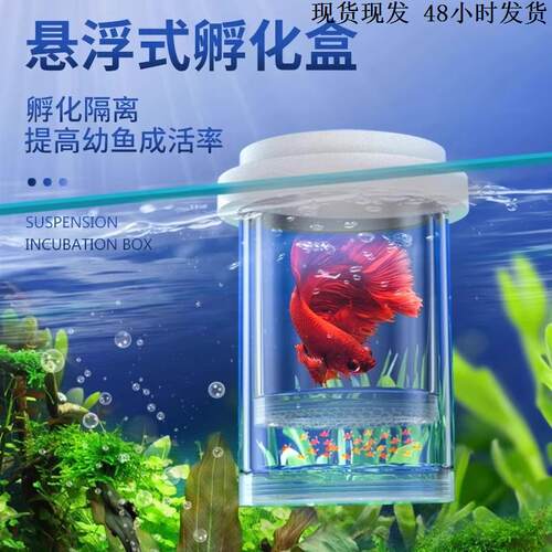 鱼缸隔离盒孔雀鱼繁殖盒凤尾