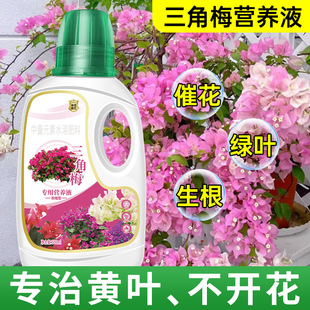 三角梅专用营养液开花专用肥促花爆花肥催化剂骨粉花肥料营养肥