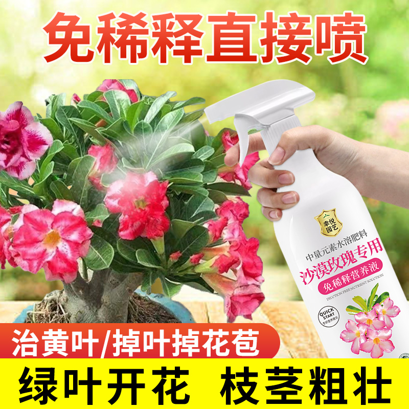 沙漠玫瑰专用营养液开花肥料治黄叶盆栽免稀释叶面液体水溶肥