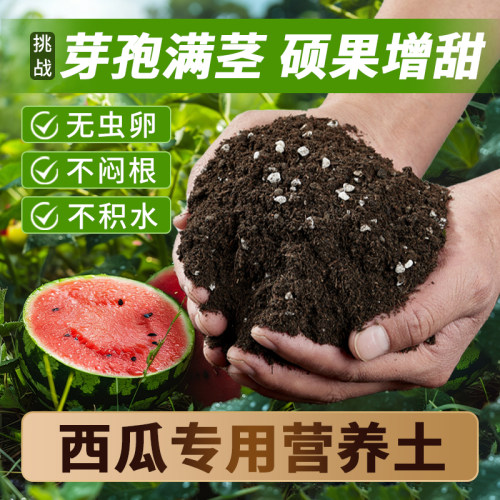 西瓜专用营养土瓜大瓜甜根好