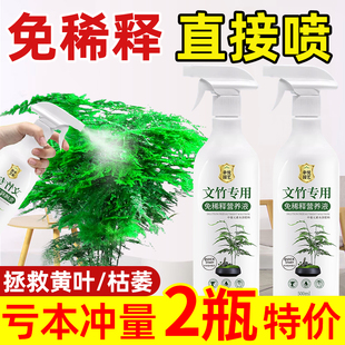 文竹营养液治黄叶云竹专用肥料叶面肥免稀释水溶液体肥专用土