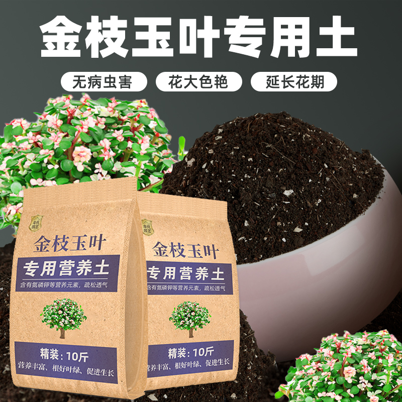 金枝玉叶专用土营养土肥