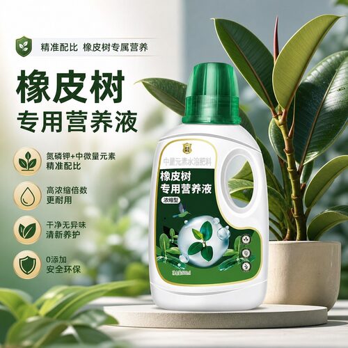 橡皮树专用营养液促生长