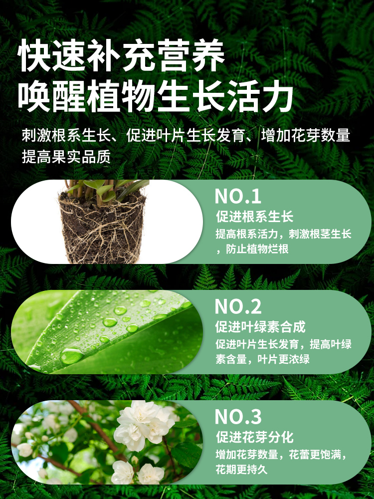 花草水培营养液植物通用型养花专用肥料花卉绿植室内花肥家用盆栽