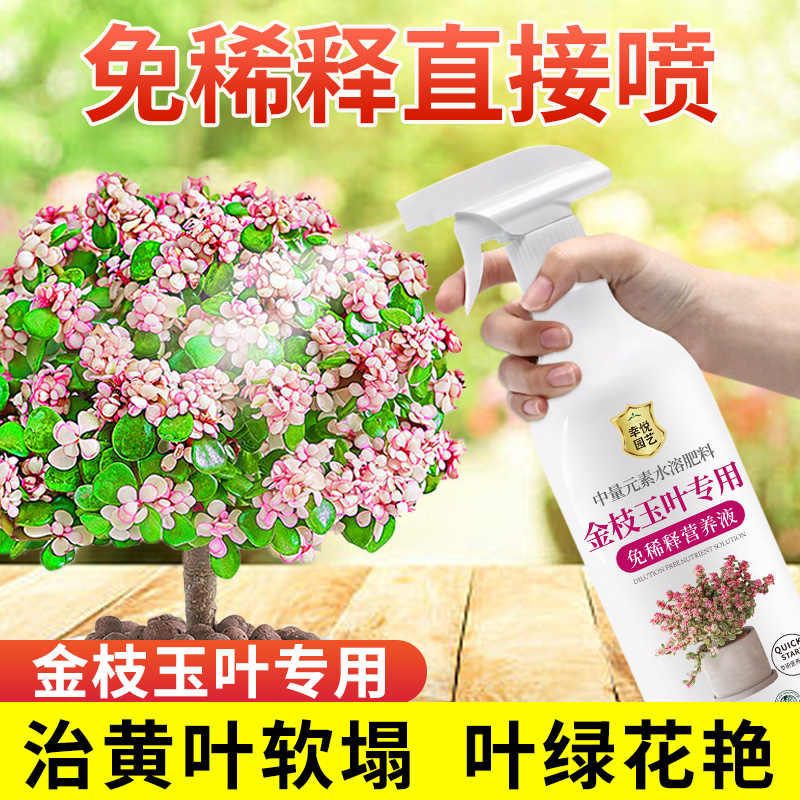 金枝玉叶免稀释营养液辅助上色