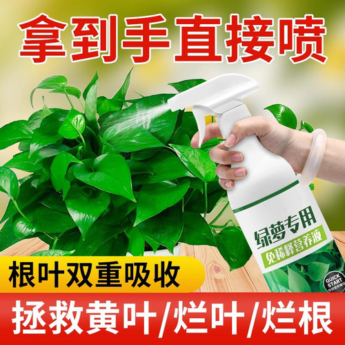 绿萝免稀释营养液直喷即用