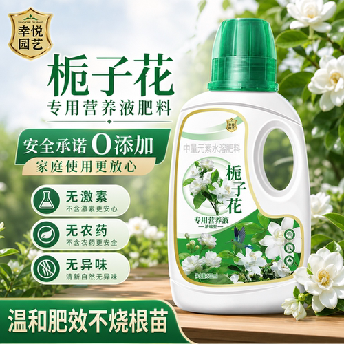 栀子花专用营养液专用肥料促开花