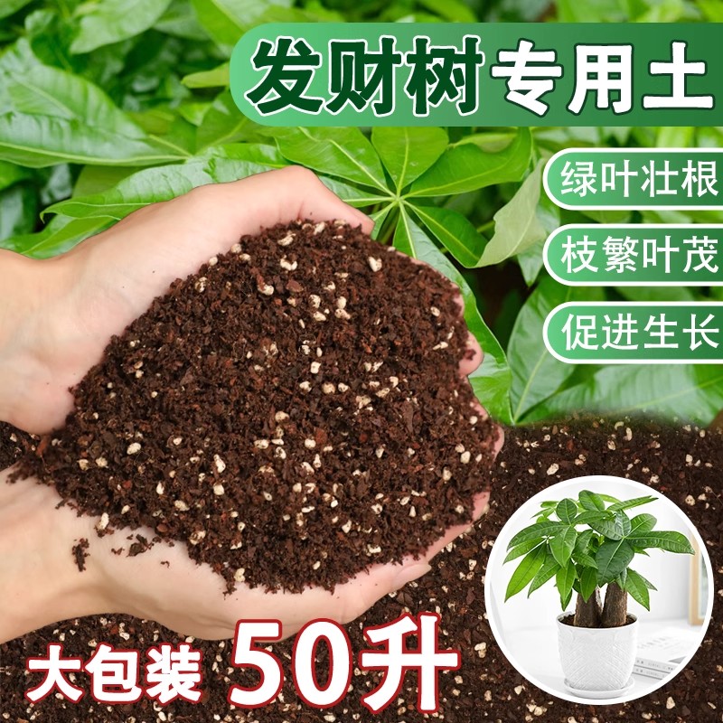 发财树专用土营养土花土发财树肥料专用肥土家用盆栽绿植种植土壤