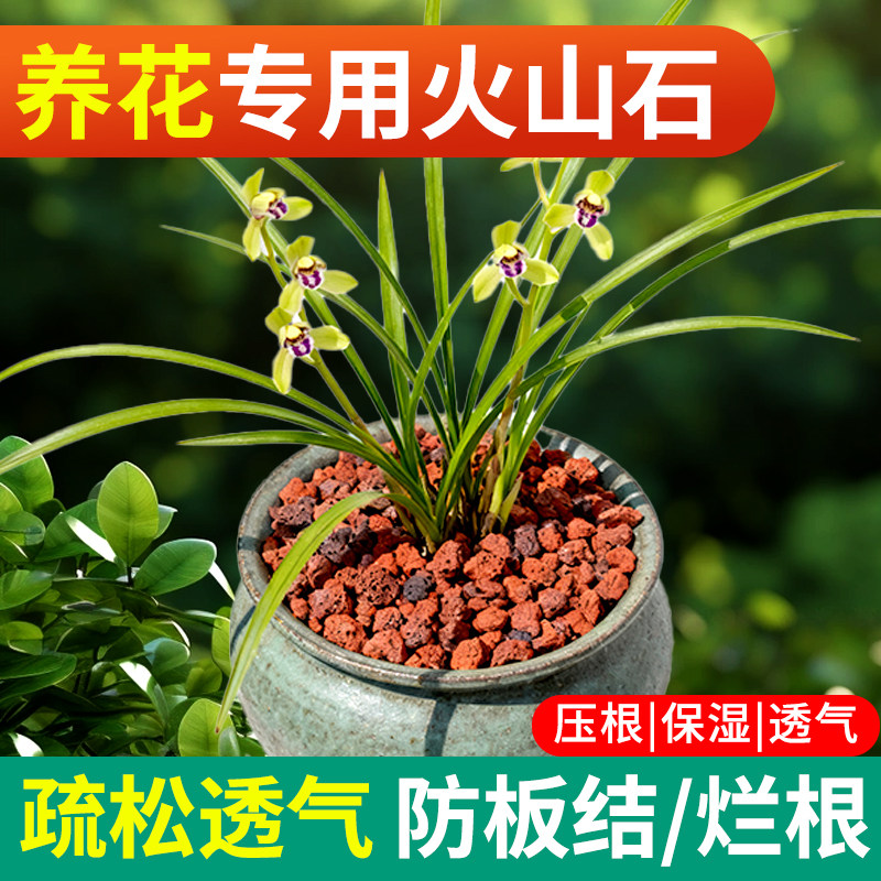 火山石铺面园艺专用多肉兰花植物通用盆栽颗粒营养土岩石垫底装饰,鲜花速递/花卉仿真/绿植园艺,土壤覆盖物,淘宝优惠券,粉丝福利购,淘宝优惠卷
