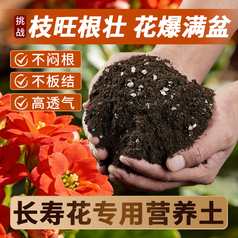 长寿花专用土花土营养土栽培土种养长寿花的土壤泥土配土盆栽肥料