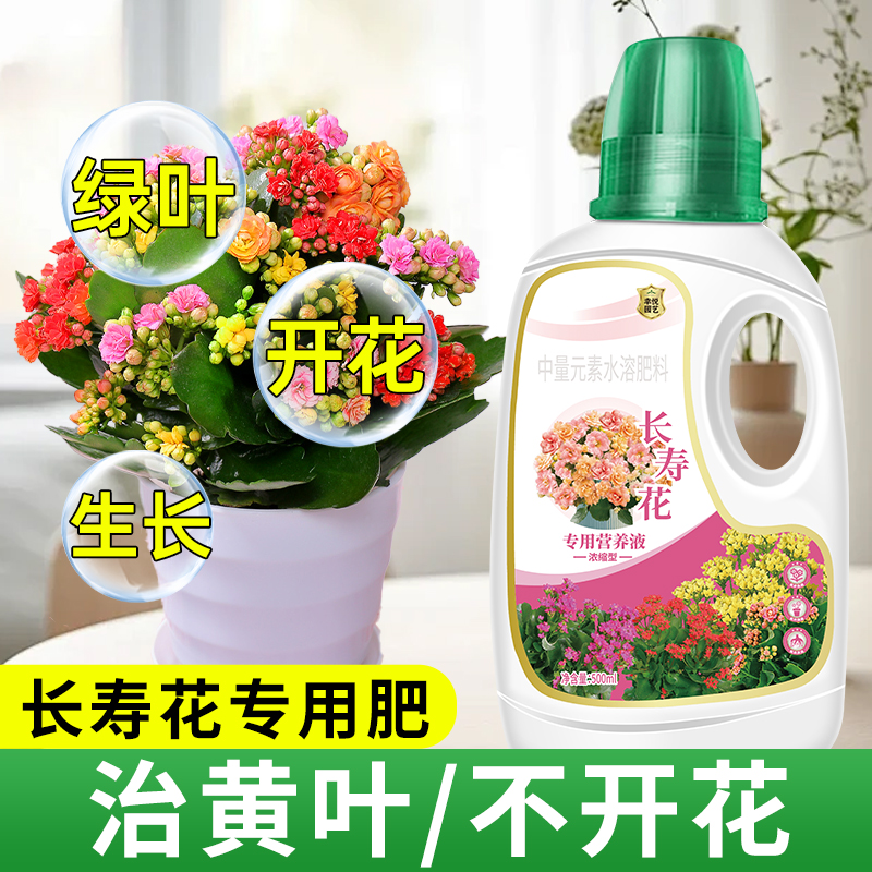 长寿花专用营养液专用肥料促花肥