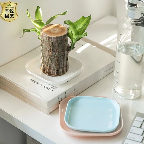 新款接水盘花盆底托多肉