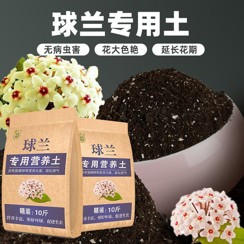 更好的专用营养土 疏松透气 含有机质元素