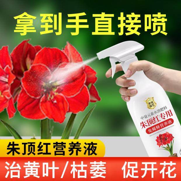 朱顶红营养液种球肥料开花朱顶红专用肥免稀释液体肥水溶肥,鲜花速递/花卉仿真/绿植园艺,家庭园艺肥料,淘宝优惠券,粉丝福利购,淘宝优惠卷