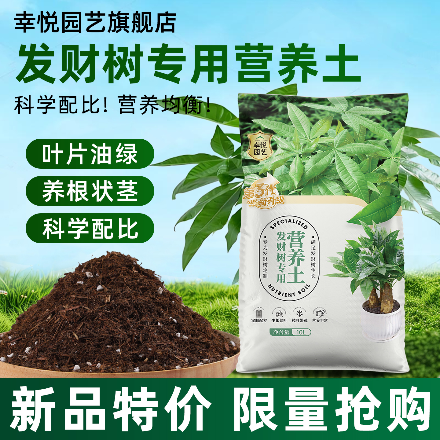种植发财树专用营养土