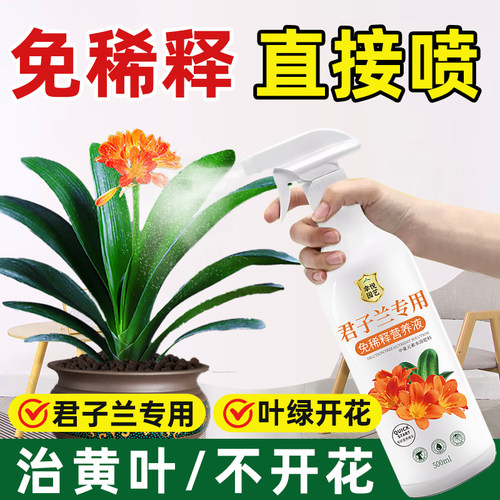 君子兰专用营养液促箭拔箭促开花专用肥料叶面肥免稀释液水溶体肥