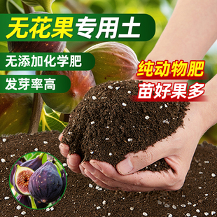 无花果专用土盆栽果树营养土腐殖质天然有机疏松透气种植专用土壤