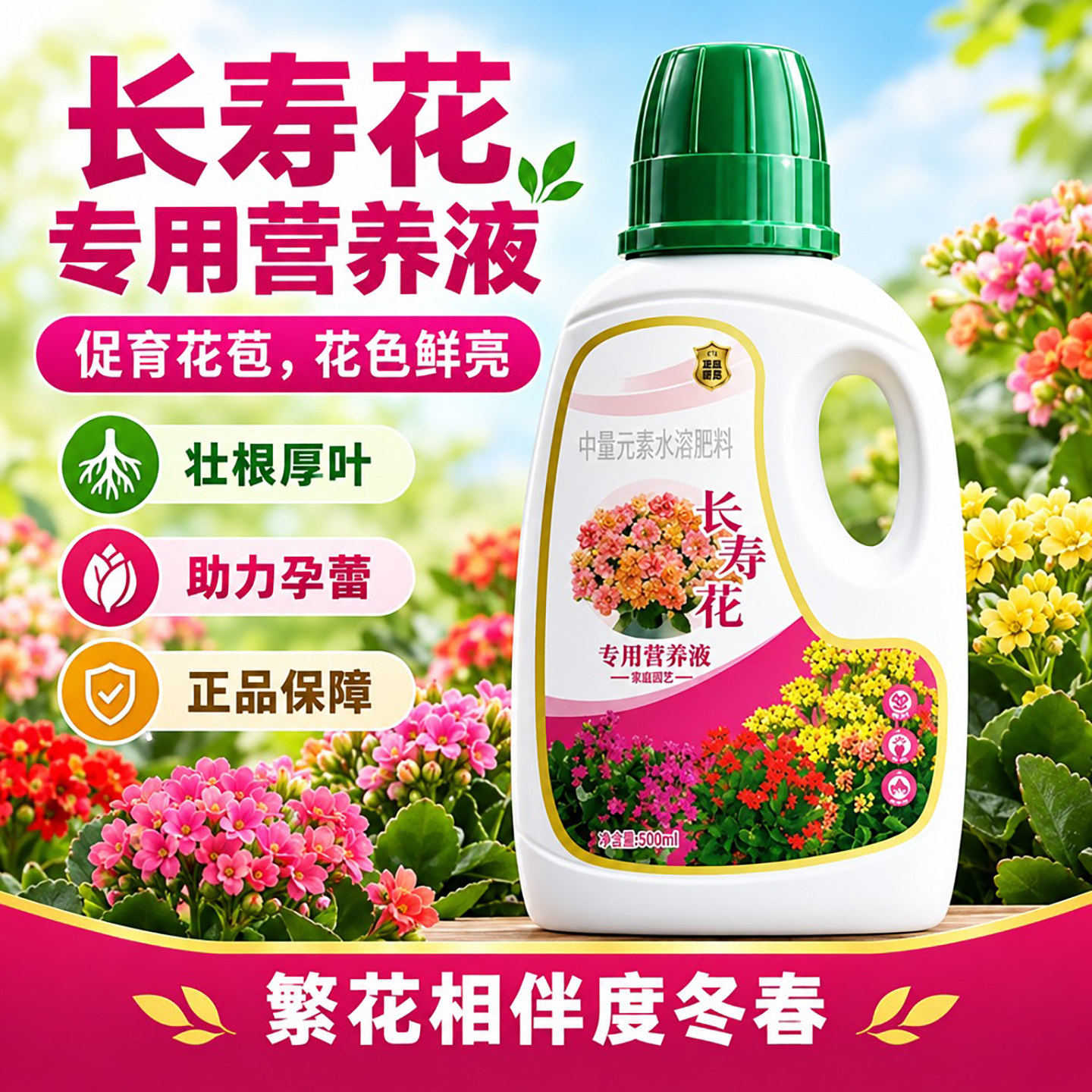 长寿花专用营养液促花肥长寿花专用肥料盆栽花肥催花开花肥专用土