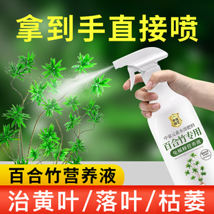 百合竹营养液花肥百合竹专用肥料治叶子发黄绿植水溶肥叶面肥