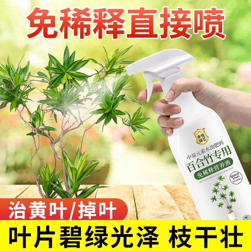 百合竹专用营养液金边百合竹肥料治叶子发黄盆栽叶面液体水溶肥