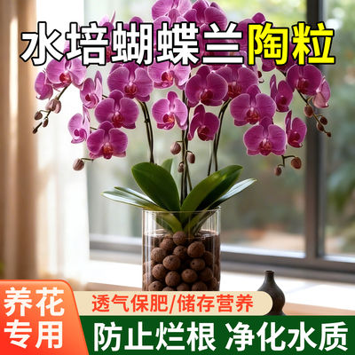 陶粒垫底水培蝴蝶兰专用多肉土陶土粒花卉回填鱼缸铺面火山石颗粒